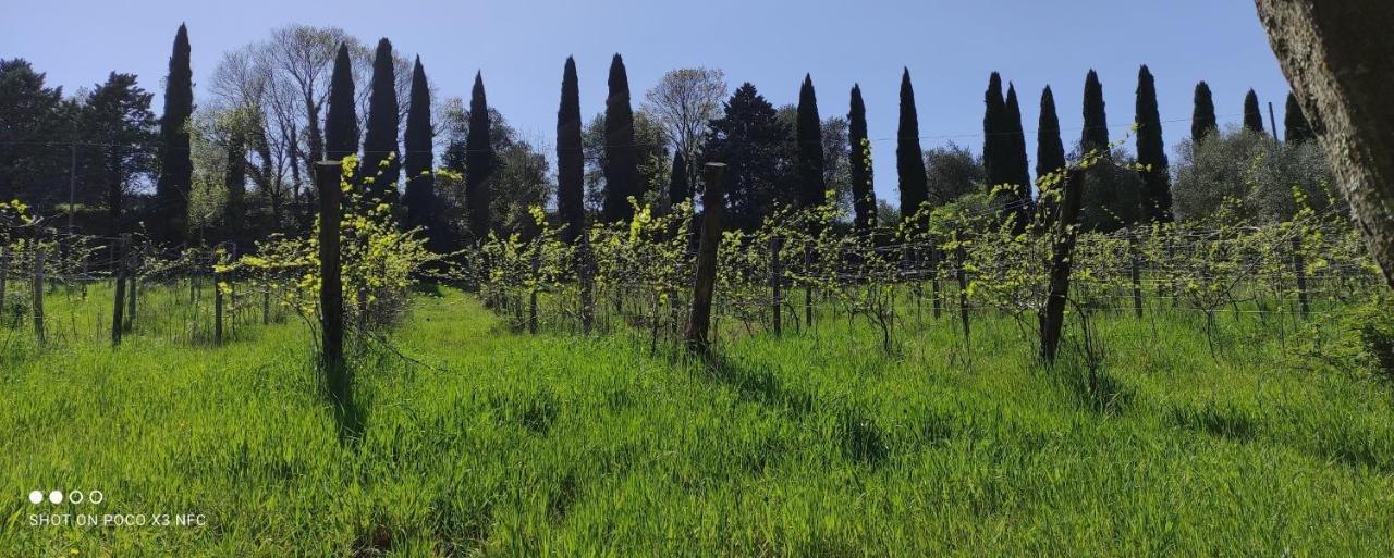 Fattoria Il Milione Agriturismo Флоренция Екстериор снимка